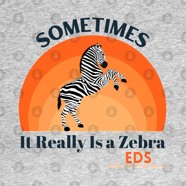 Sometimes It Really Is A Zebra Ehlers-Danlos Syndrome by Danderwen Press